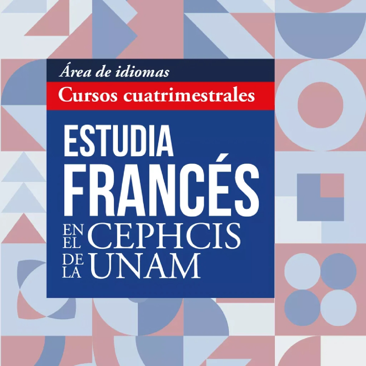 ESTUDIA FRANCÉS